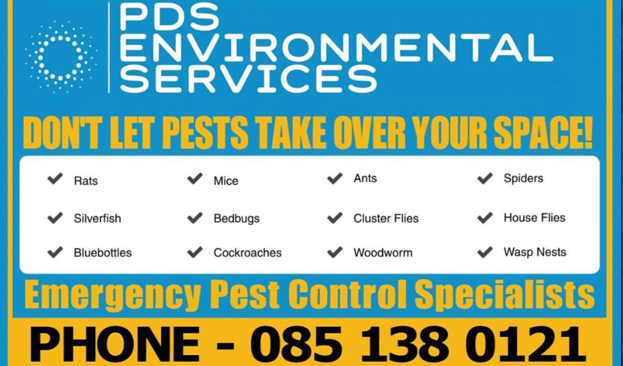 PDSE-Pest-Control-services-woodworm-treatments.-meath