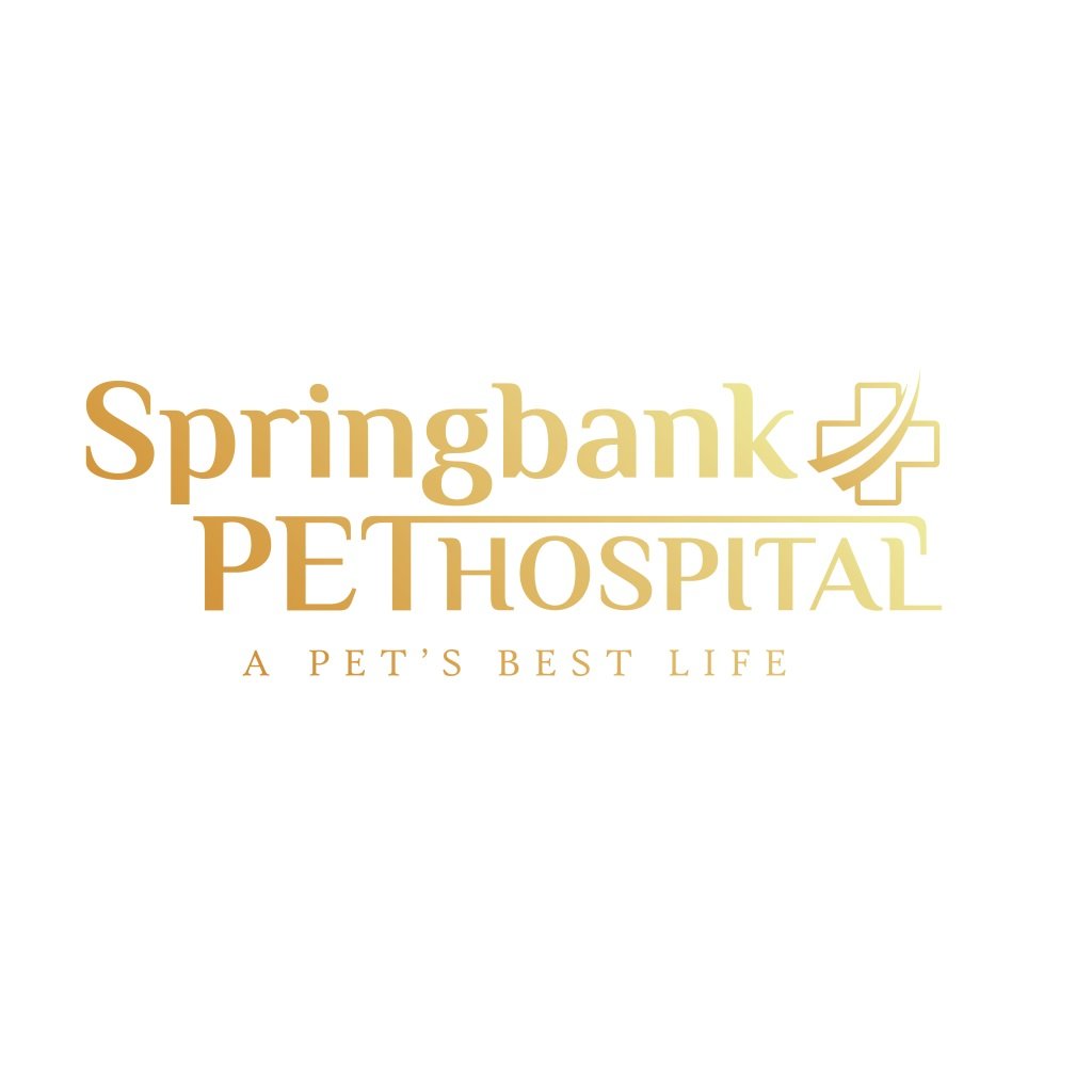 Springbank Pet Hospital