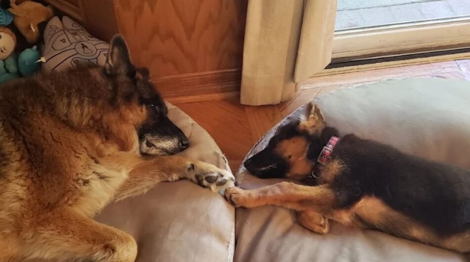 Untitled-design-25-5