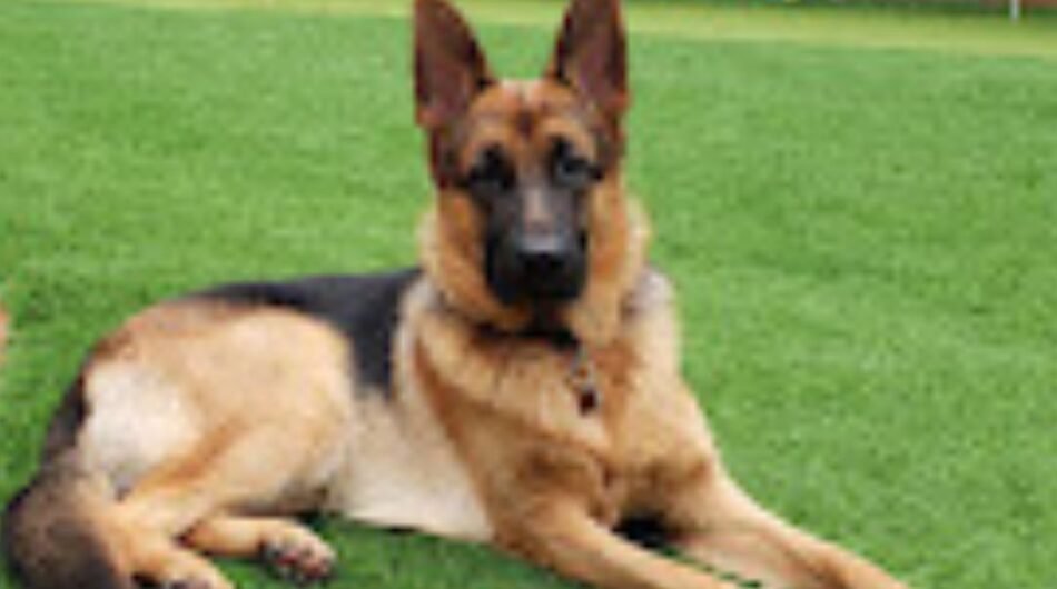 Untitled-design-26-2