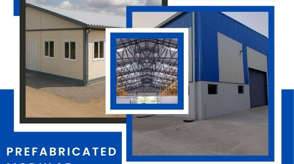 WhatsApp-Image-2025-11-11-at-2.26.42-PM-1