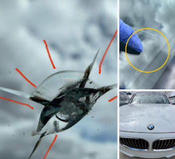 Windshield-Repair-in-Edmonton