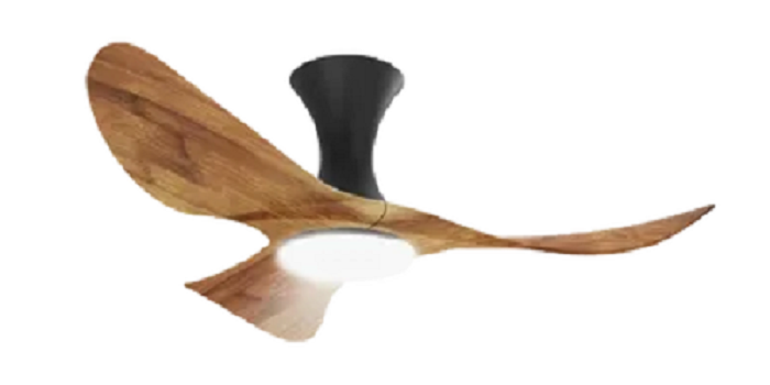 ceiling-fan2