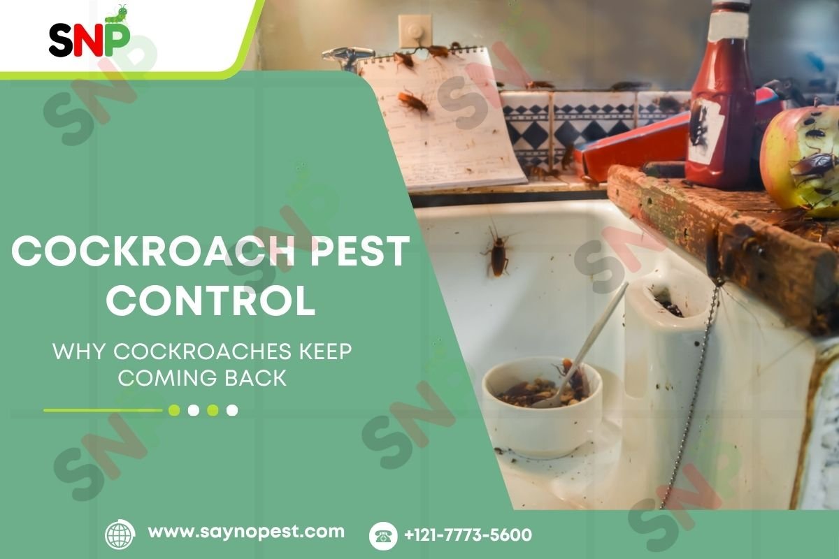 Say Goodbye to Cockroaches – Get Pest Control for Cockroach Today!