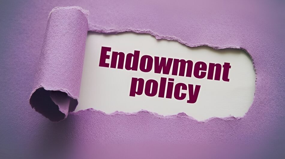 endowment-policy-Picsart-AiImageEnhancer