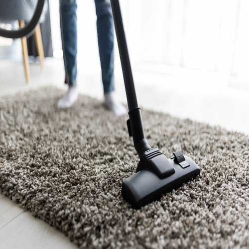 professionalrugcleaningpalmbeach