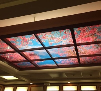 sky-ceiling-Nov25-image