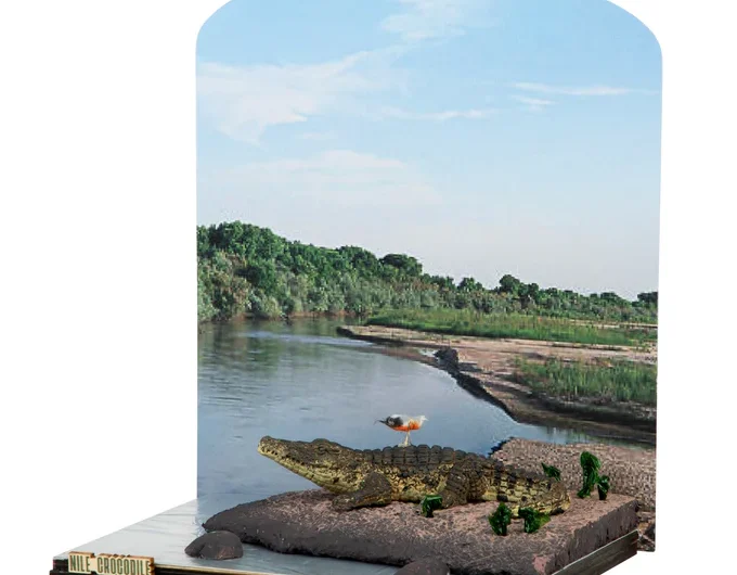 5_46058f2e-a5df-4b38-a121-37bd570fadd8-1