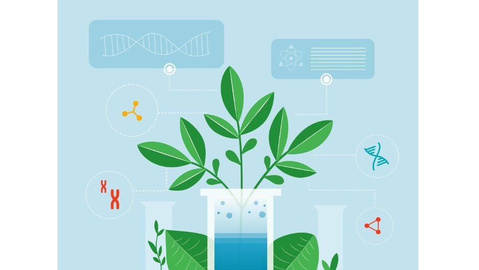 API-and-formulation-plant-design-consultants-Adroitix