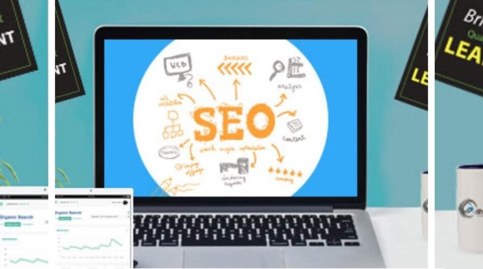 Best-Local-SEO-Agency-in-Delhi-1