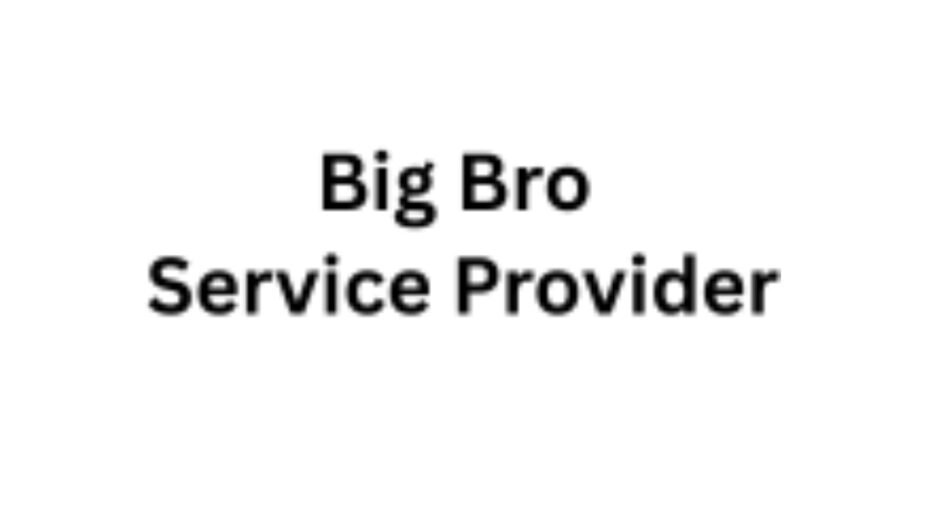 BigBro-Logo
