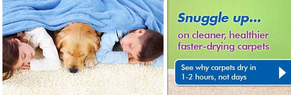 Chem-Dry-Clean-and-Green-banner