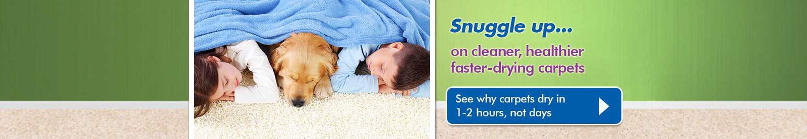 Chem-Dry Clean and Green