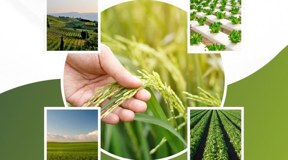 Farm-products-Australia