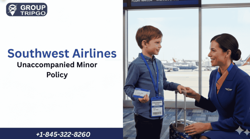 Gemini_Generated_Image_c9kea9c9kea9c9ke-1-1