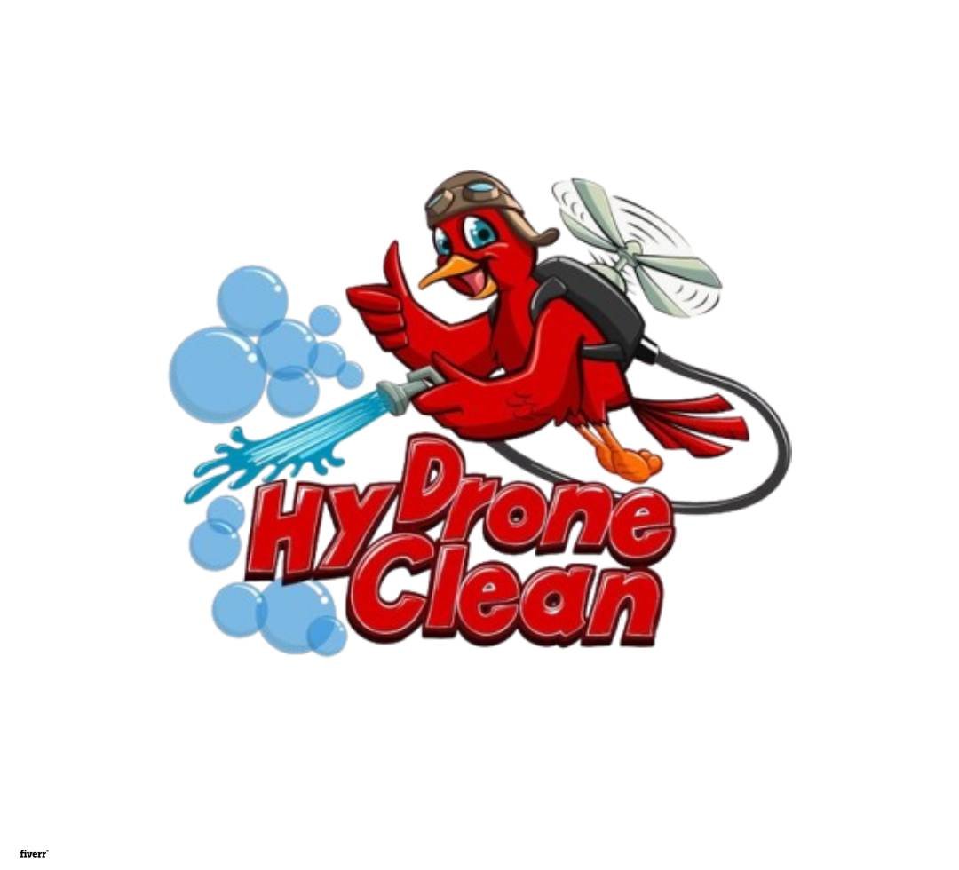 I will do cleaning and car wash logo, for cleaning service your business