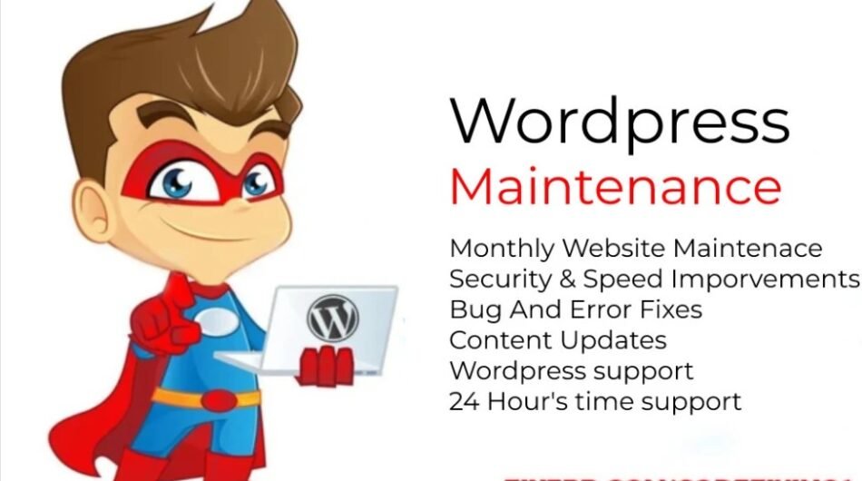 I-will-provide-wordpress-maintenance-and-support-or-help-7