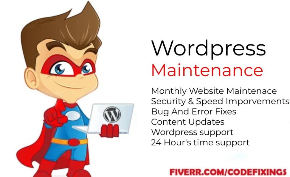I will provide wordpress maintenance and support or help