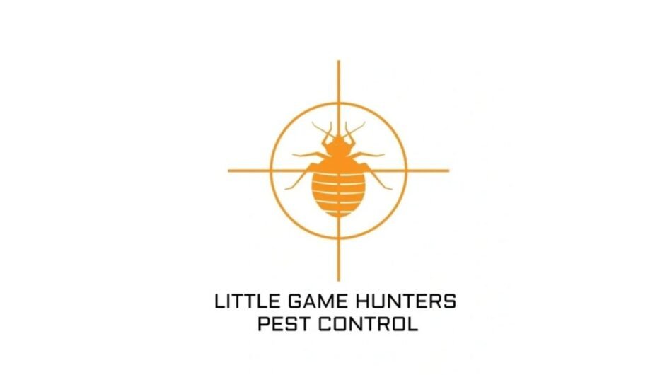 Little-Game-Hunters