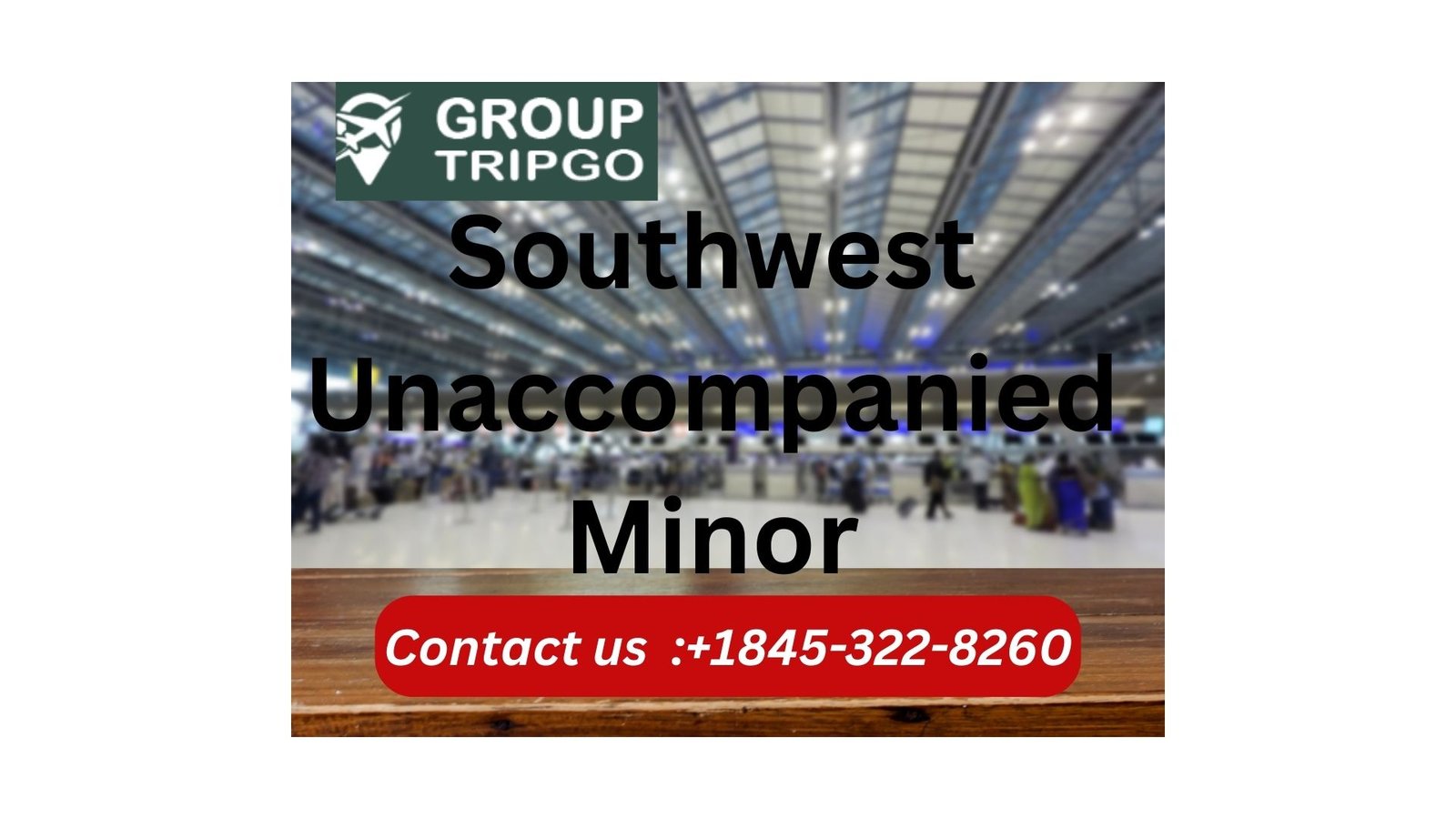 Southwest Unaccompanied Minor Travel Info Guidelines-Details