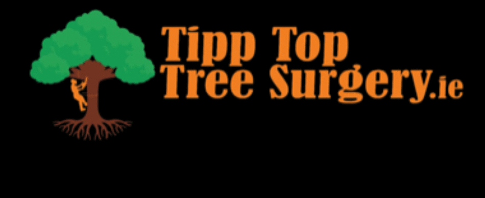 Tipp-Top-Tree-Surgery