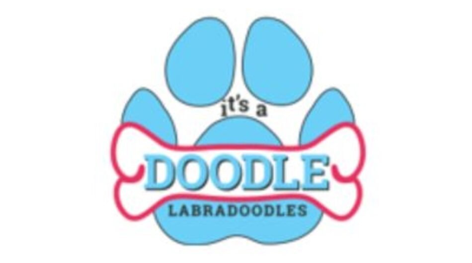 Untitled-design-2024-11-06T094619.082-1