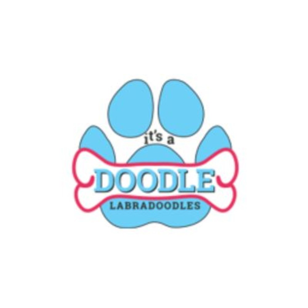 It’s a Doodle K9 Service