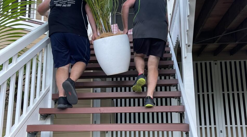 WhatsApp-Image-2024-10-02-at-12.27.18-PM-1