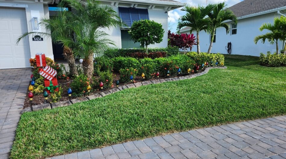 WhatsApp-Image-2025-12-11-at-1.57.53-AM