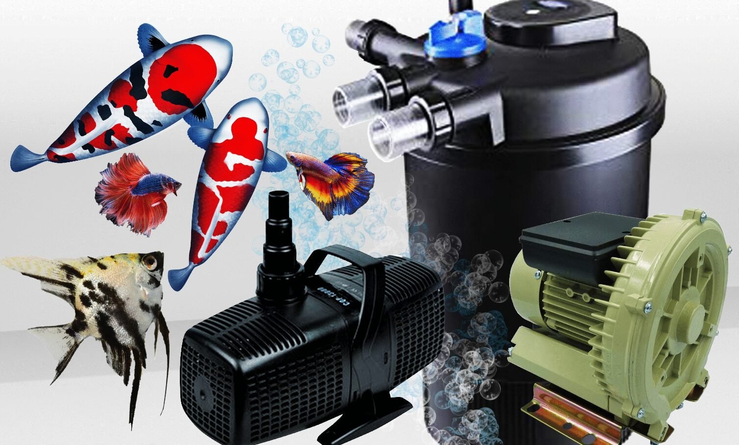 wrought iron gates trinidad