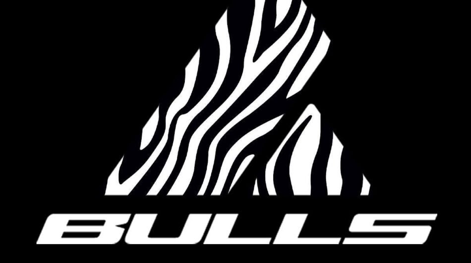 bulls-LOGO2