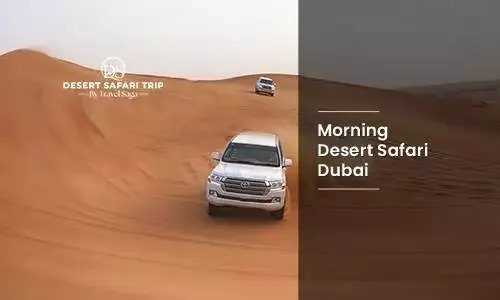 Dubai Desert Safari Trip