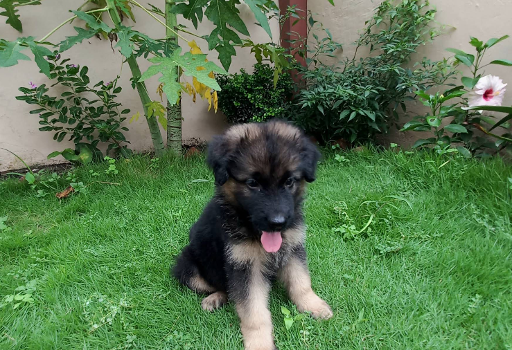 image_2025-12-18_172123124