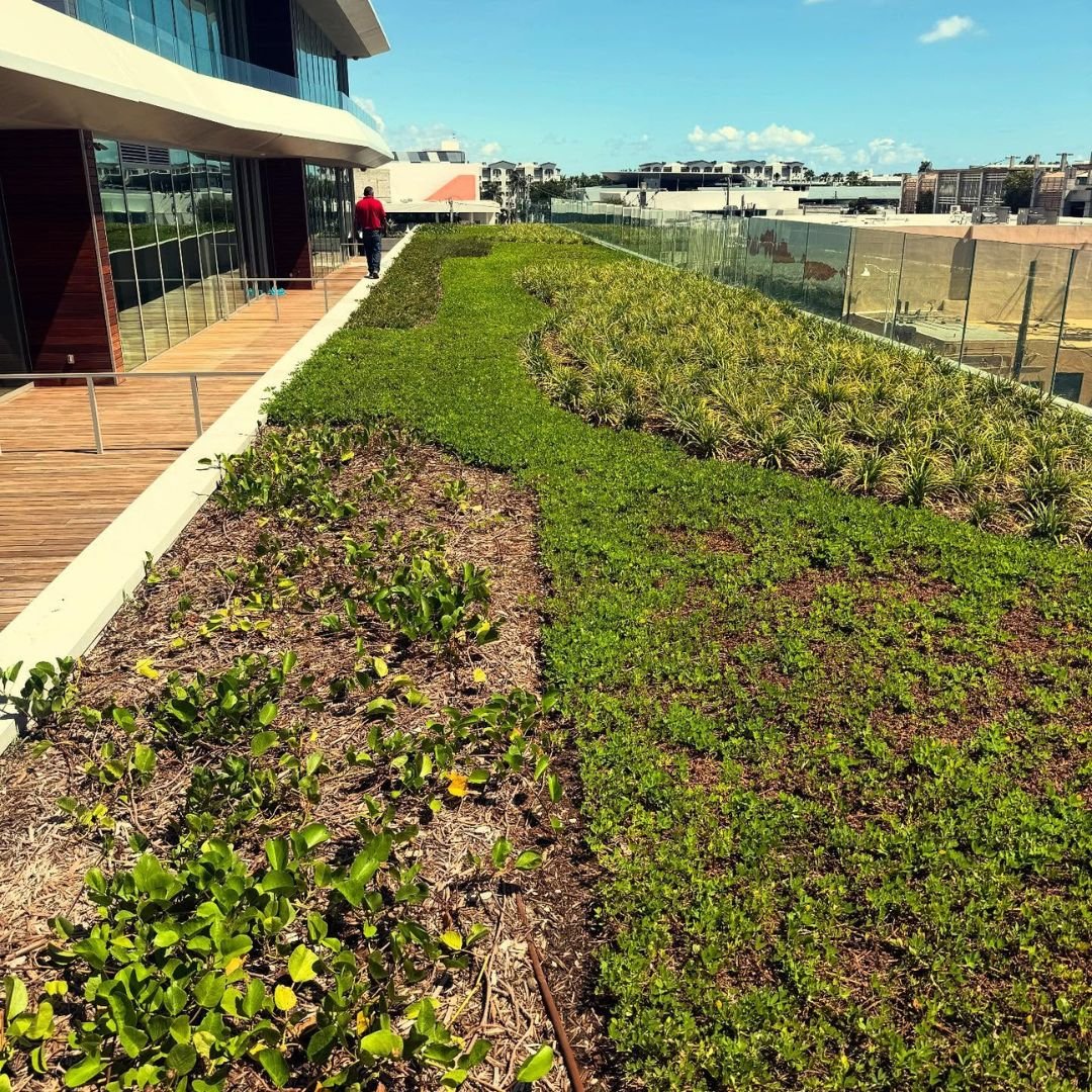 Central Florida’s Trusted Irrigation Design Specialists