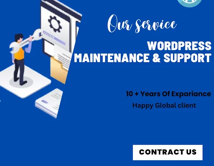 I will provide monthly WordPress maintenance and support