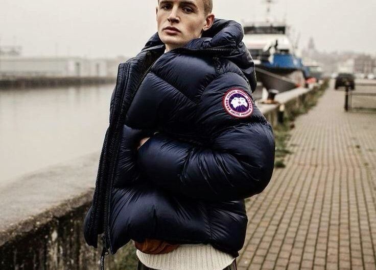 399a2c8c015c17c8847dd70a06703dea