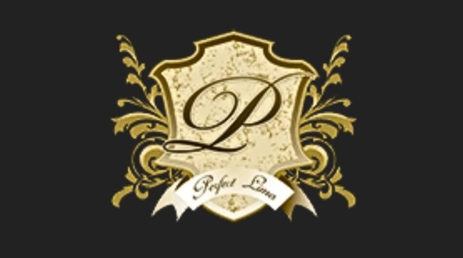 431029267_919768886819841_4872359555726604064_n-1