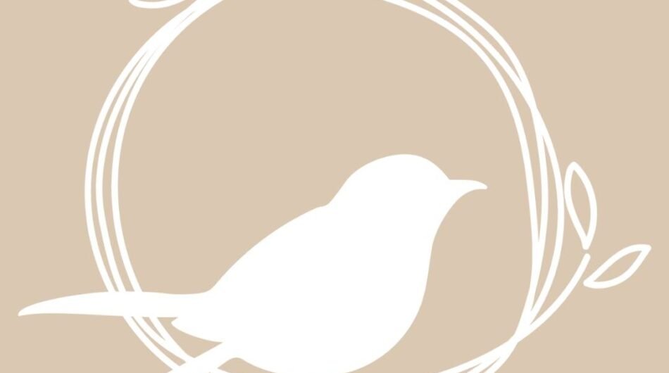 468367686_122110076270605593_793954840510132281_n