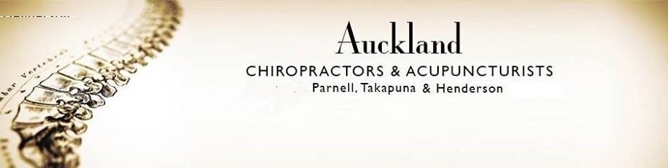 494664452_24045624005061629_3376411512781879524_n