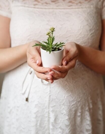 Ayurvedic-Fertility-and-Womens-Health-Care-Delhi