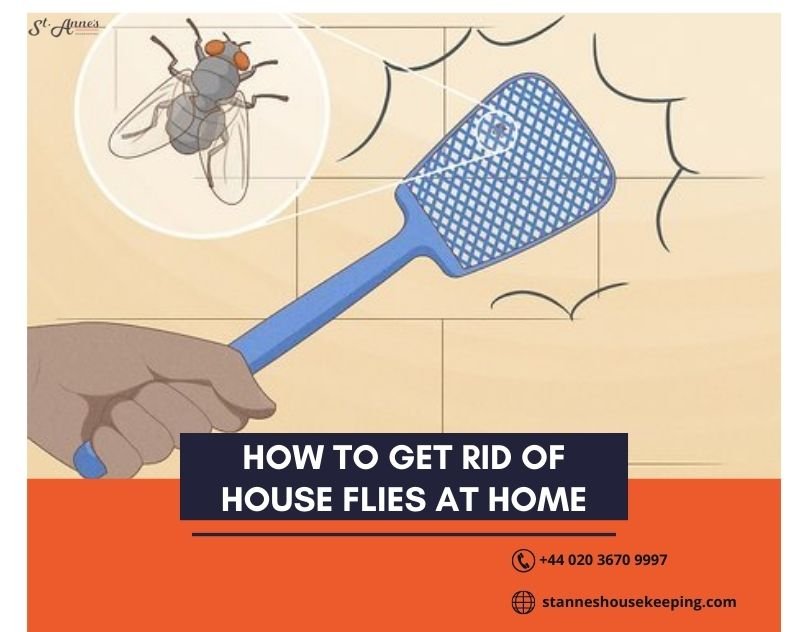 How to Get Rid of House Flies at Home
