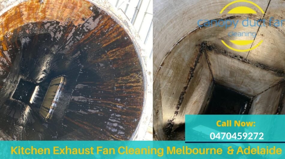 Canopy Filter Cleaning