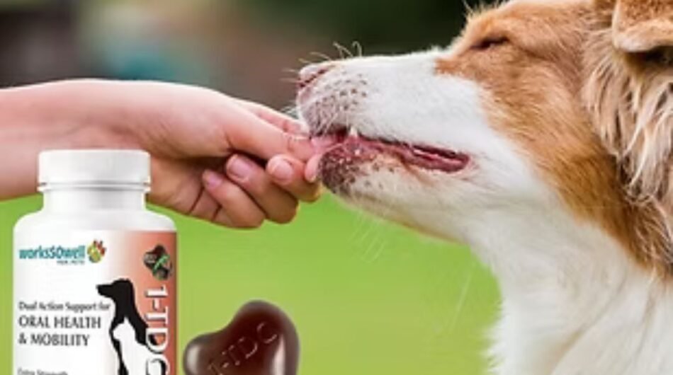 Minimal-Image-and-Colour-Collage-Moodboard-Instagram-Post-1