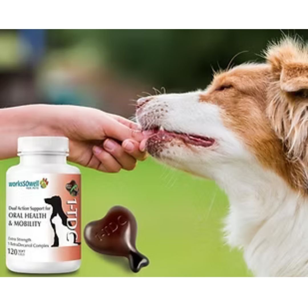 Effective MYOS Muscle Builder for Dogs | Safe Muscle Growth
