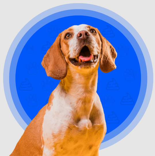 Best dog pooper scooper