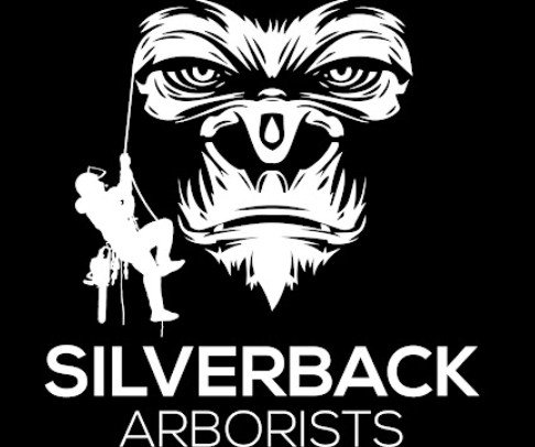 Silverback-Arborists