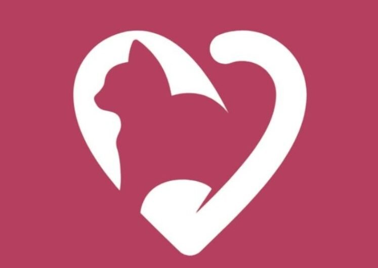 Woodgrove-Pet-Boarding