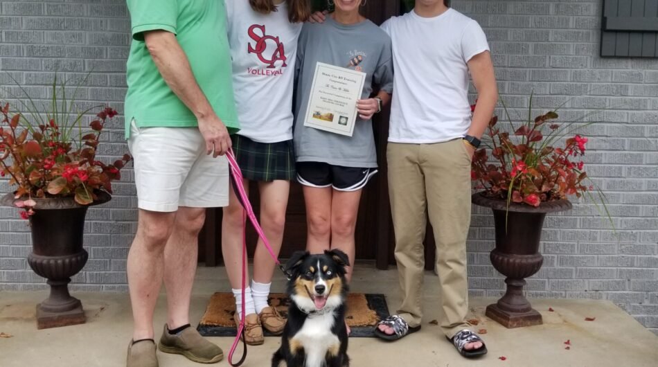 Expert Dog Training Services | Music City K9 Training