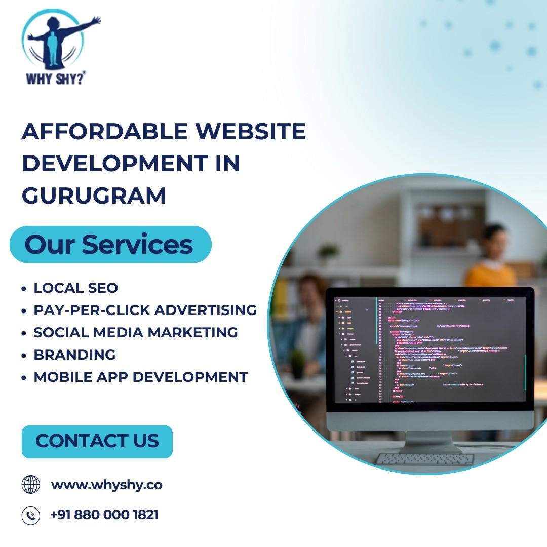 Affordable Website Development in Gurugram | Why Shy
