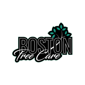 Boston-Tree-Care